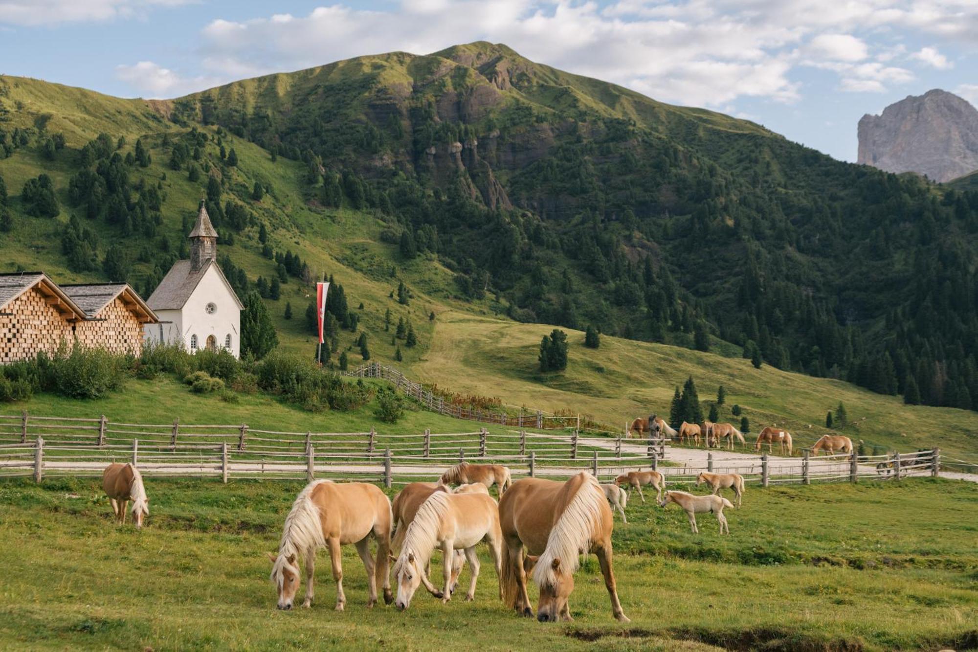 Zallinger Dolomites Seiser Alm Zewnętrze zdjęcie